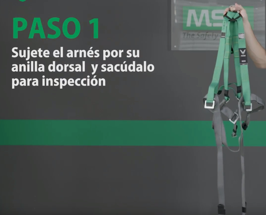 Sujetar el arnés por su anilla dorsal y sacudirlo para su inspección  para arnes stihl Sujetar el arnés por su anilla dorsal y sacudirlo para su inspección  para arnes stihl